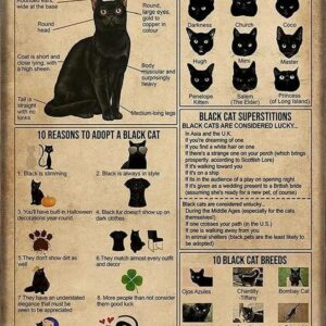 Black Cat Knowledge Poster, Anatomy, Superstitions, and 10 Black Cat Breeds Illustrated Guide