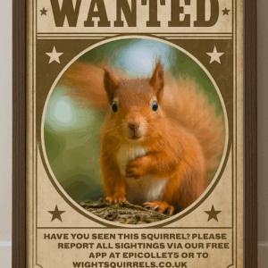 Funny Wanted Poster of Cute Red Squirrel Vintage Animal Wall Art for Nature Lovers 2