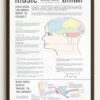 Macrophage Immune Response Poster, Framed Medical Science Wall Art