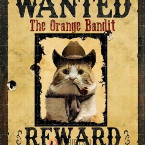 Wanted Cat Poster, The Orange Bandit, Western Style Wanted Reward Poster with Cat Wearing Cowboy Hat