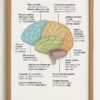 This Is Your Brain on Piano Poster, Educational Music And Neuroscience Wall Art
