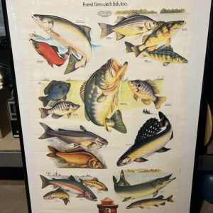Vintage Smokey the Bear Poster, Fish Species Guide with Forest Fire Awareness Message